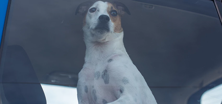 Car Lockout Solutions in Laguna Beach, California